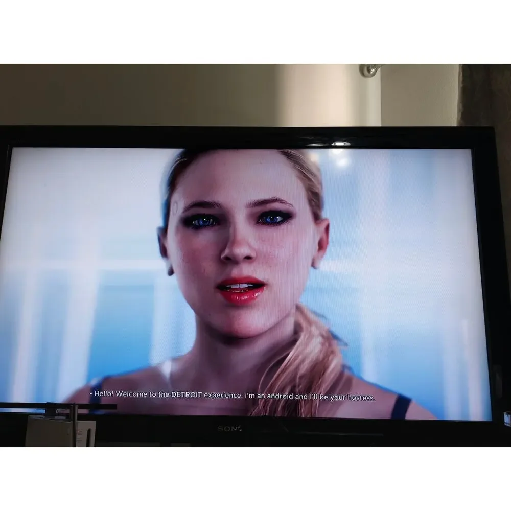 Detroit Become Human PS4  Tested Working Disc and case